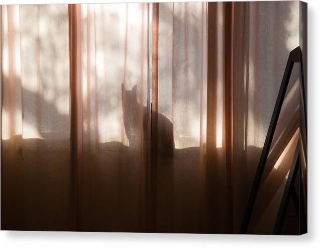 Surveying Her Domain - Canvas Print