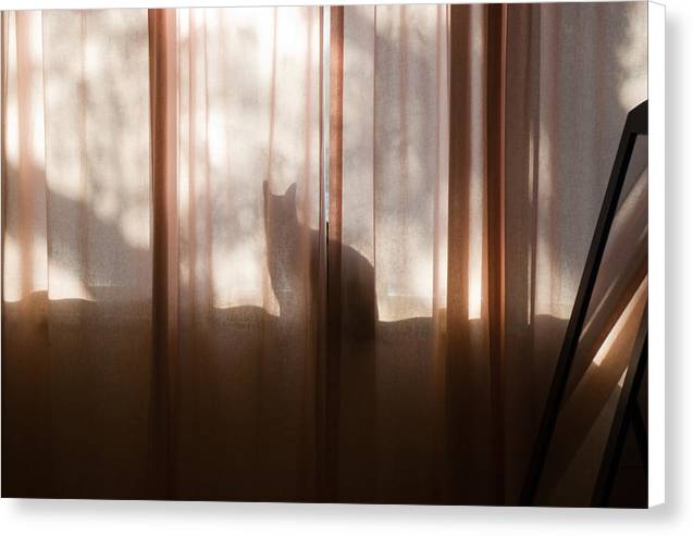 Surveying Her Domain - Canvas Print